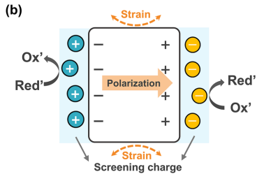 什么是压电效应？解析物理机制及在催化中的四大功能（电子调控/电荷分离/自由基生成/无光催化）
