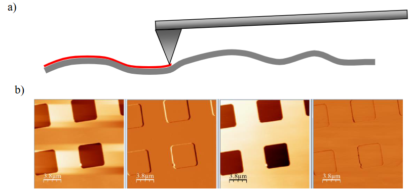 从原理到实战：原子力显微镜（AFM）工作机制及其在多领域的强大应用