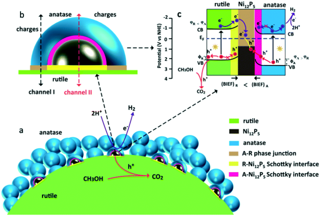 异质结光催化剂界面工程：类型划分、催化机制与性能调控方法