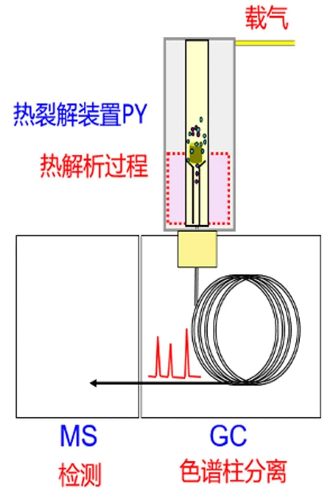 成分分析技术——气相色谱-质谱 GC-MS 联用（四）
