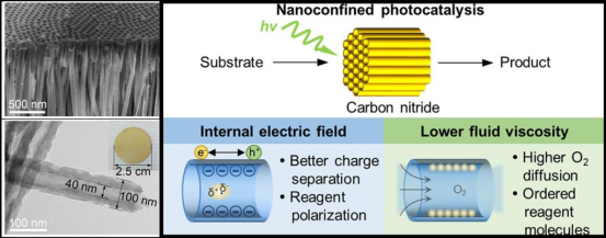 孔道限域效应：定义、核心机制及多领域应用实践