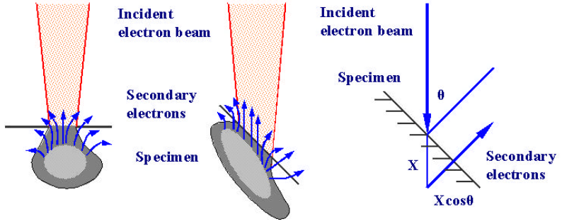SEM 成像与成分分析全解析：二次电子 (SE)、背散射电子 (BSE) 及 EDS 技术详解