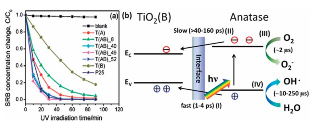 内建电场赋能多反应体系：形成机制、表征方法及应用解析