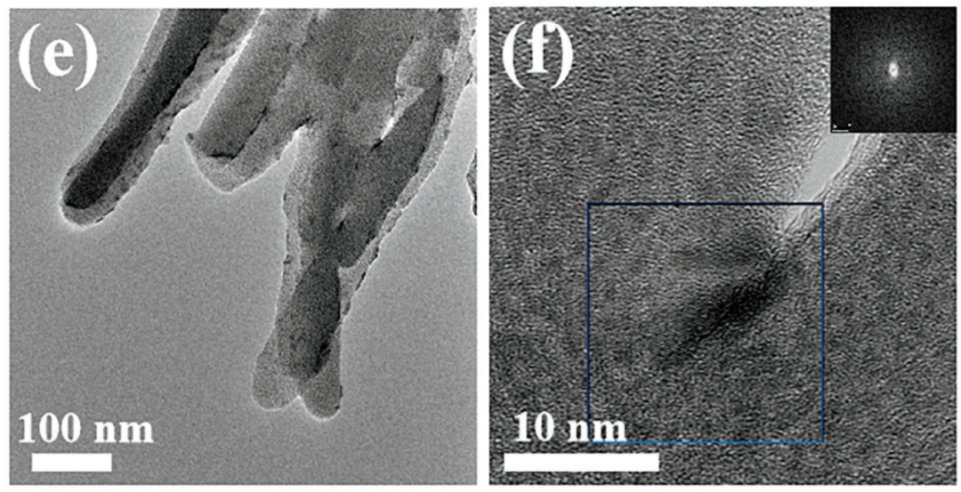 活性位点：定义、公式与表征方法全解析