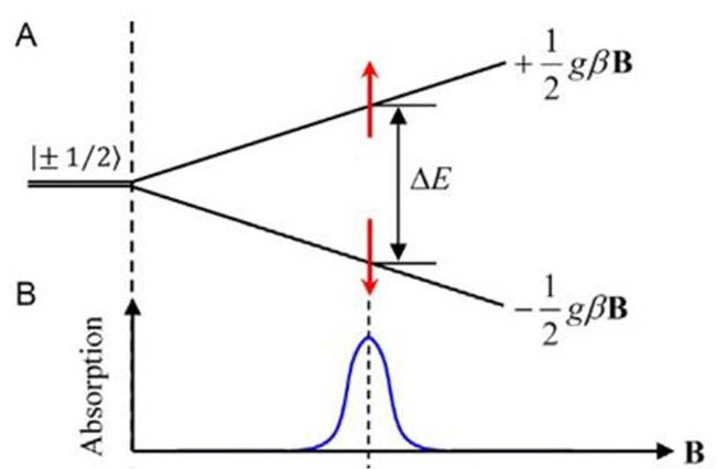 从原理到实操：一文读懂 EPR（电子顺磁共振）的核心逻辑与谱图解读技巧