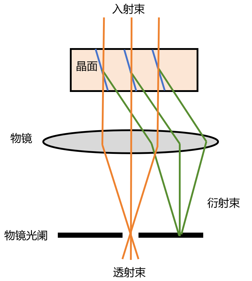 小课堂 | 常做的透射电镜你了解吗？(二）