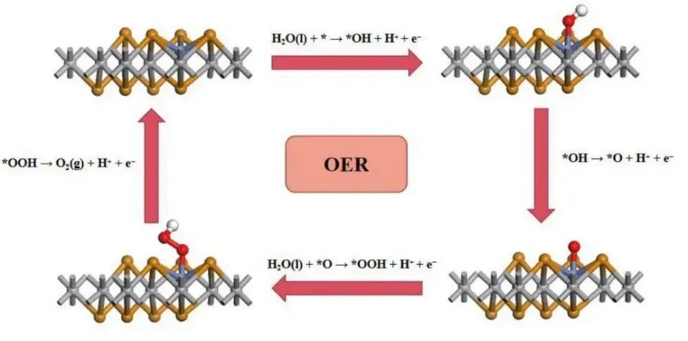 自由能与吸附能：定义、计算、关联及实验模拟融合