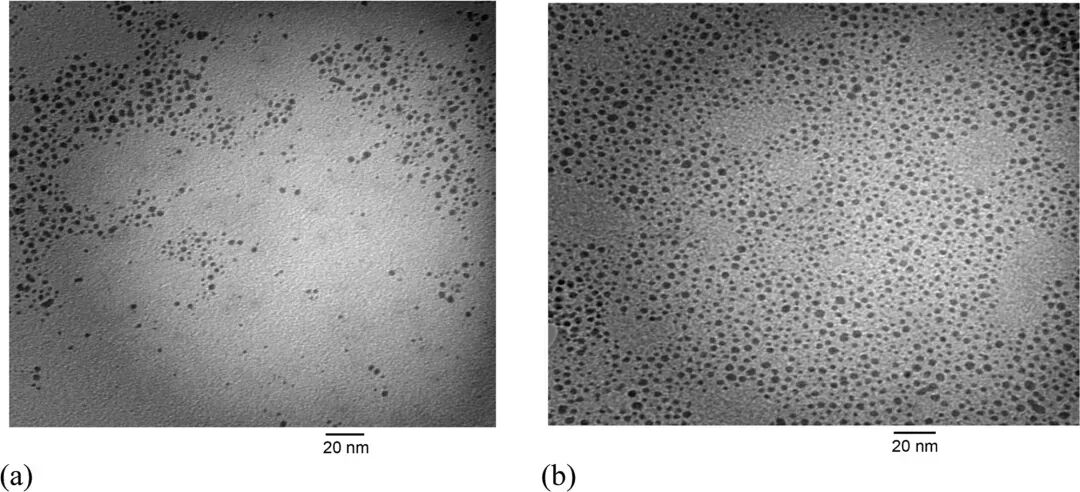五大电镜测试技术总结！SEM、TEM、ESEM、EDS、EBSD