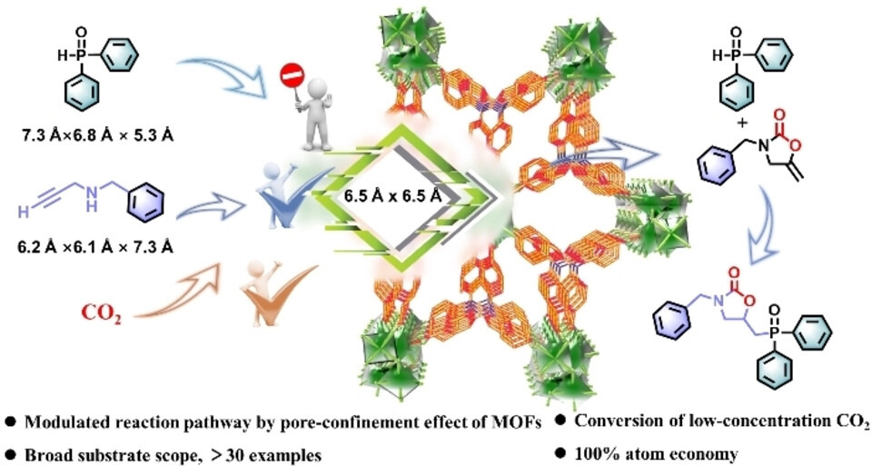限域催化的理论与应用：系统阐述限域效应机制、典型材料与关键电催化反应