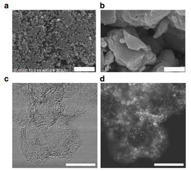 COF 8大表征总结！XPS、TEM、FTIR、TGA、同步辐射XAS等！