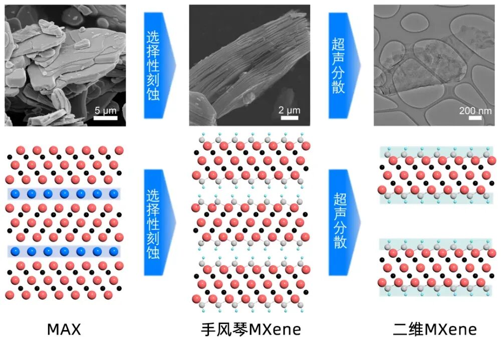 不同表面官能团（-OH/-O/-F）MXene的制备与功能化应用