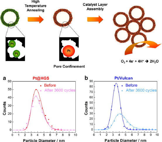 孔道限域效应：定义、核心机制及多领域应用实践