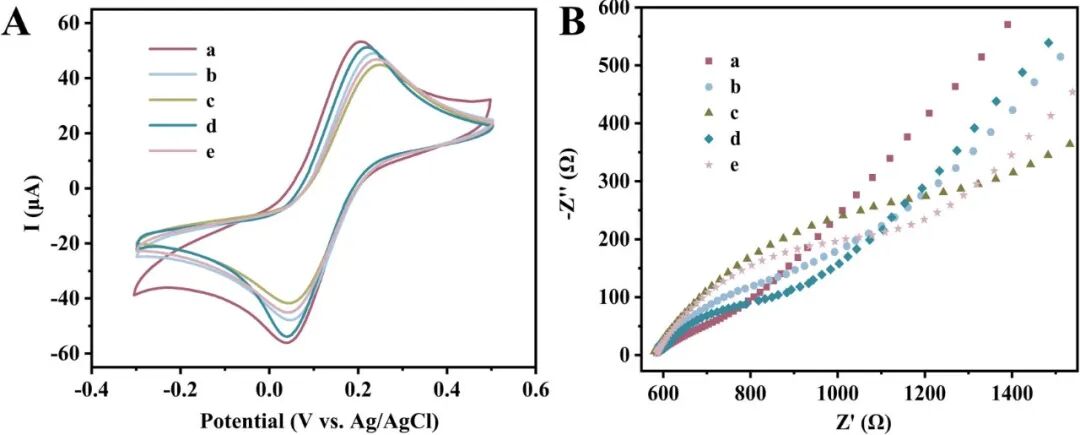 EIS半圆大小变化的本质：原理、Nyquist图半圆形成机制及导电性/表面状态/催化活性等关键因素的作用