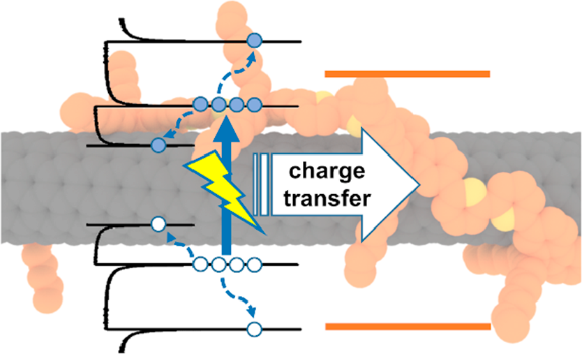 什么是电荷转移？