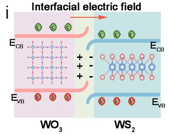 一文读懂d带中心：上移与下移的深层原因及精准调控策略