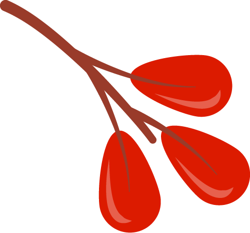 小角 X 射线散射（SAXS）——研究材料亚微观结构