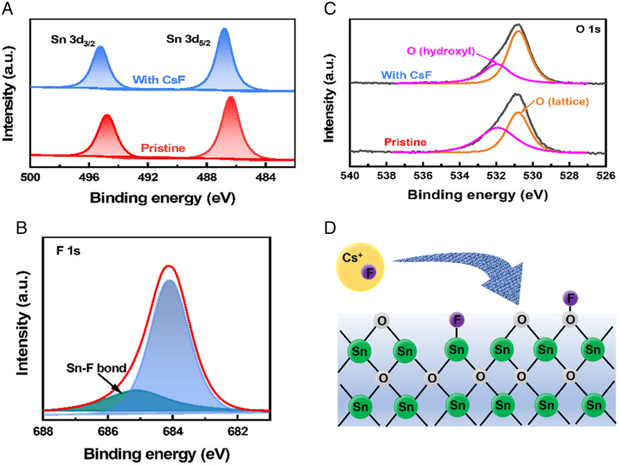 费米能级上移与下移：调控机制（掺杂 / 电场 / 光照等）及 UPS/XPS/KPFM 表征全解析