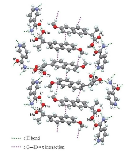 固体核磁技术在各领域研究中的应用