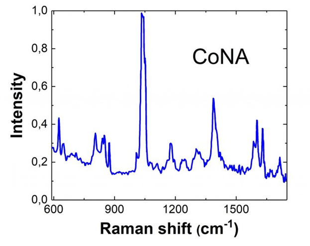 常见材料拉曼光谱位置以及如何获取更多