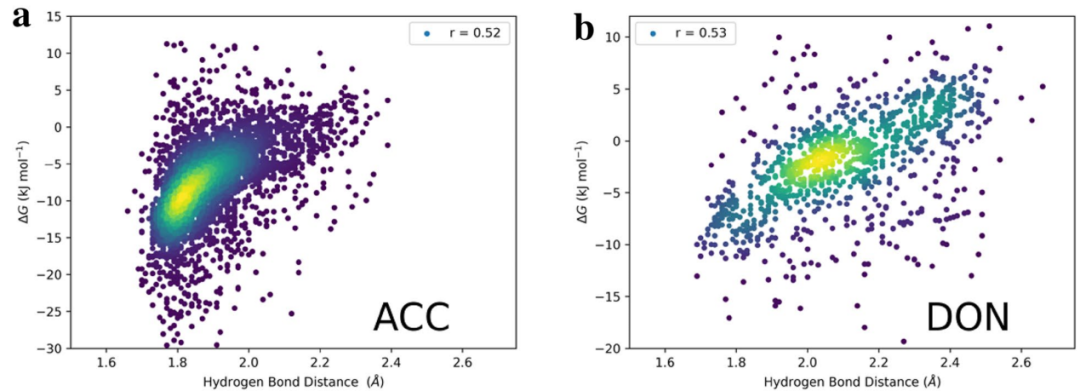 氢键如何影响化学性质？基于热力学稳定性与动力学活性的综合分析