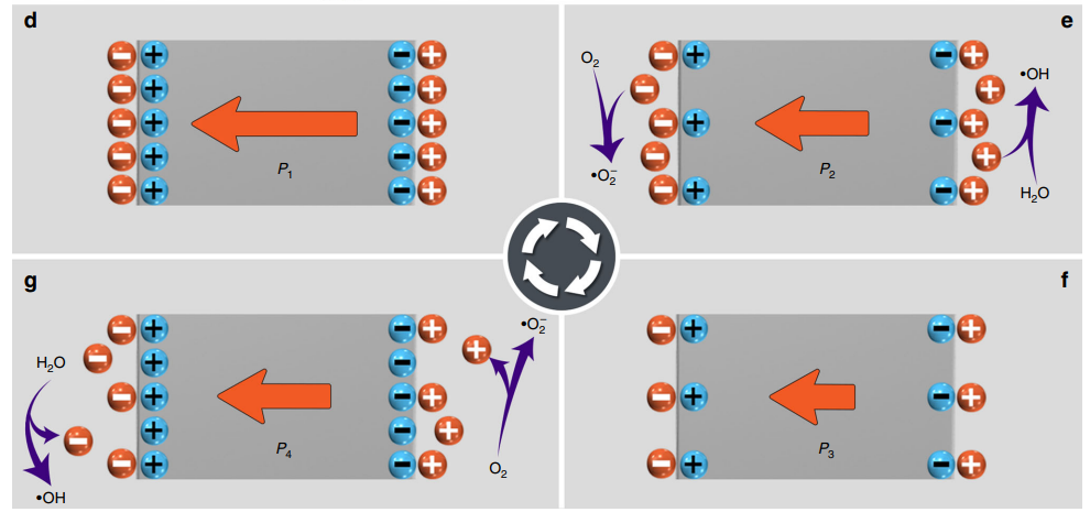 什么是压电效应？解析物理机制及在催化中的四大功能（电子调控/电荷分离/自由基生成/无光催化）