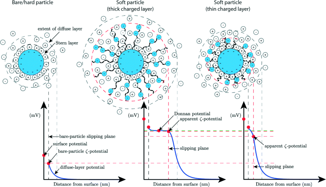 Zeta电位：表征颗粒表面电荷的关键指标与测量方法详解