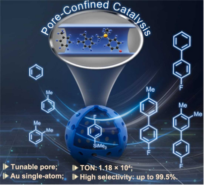 孔道限域效应：定义、核心机制及多领域应用实践