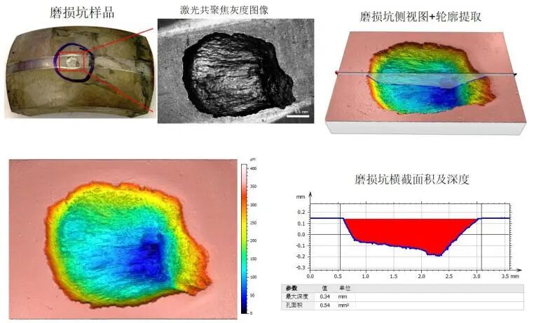激光共聚焦显微镜（二）功能及应用领域