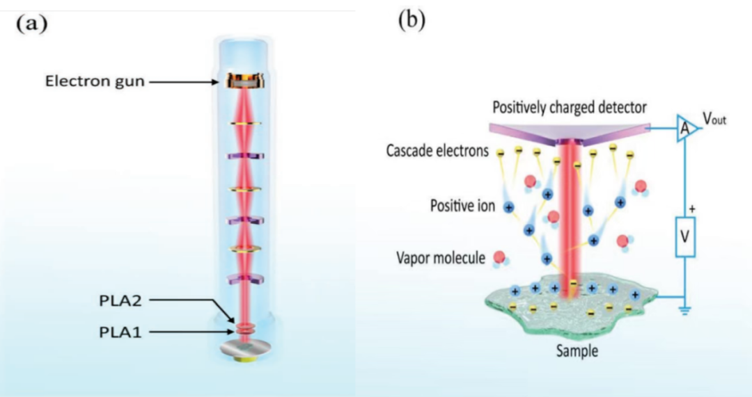 五种电子显微表征技术（SEM, TEM, ESEM, EDS, EBSD）的原理与应用对比