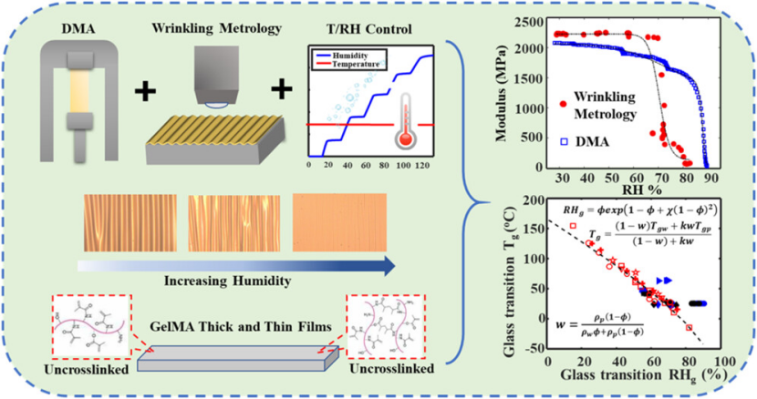 什么是“玻璃化转变温度”？定义、转变机制、与熔点的本质区别及材料设计的关键作用