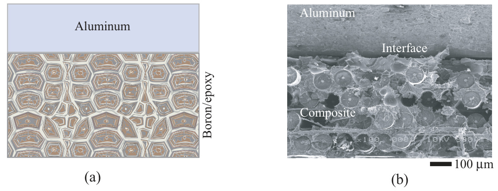 限域效应与界面效应的对比研究：机制、应用及材料催化中的协同作用