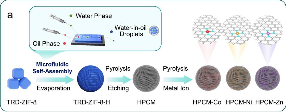 轨道杂化如何影响分子吸附？d-p杂化通过电子重排与成键效应调控吸附性能