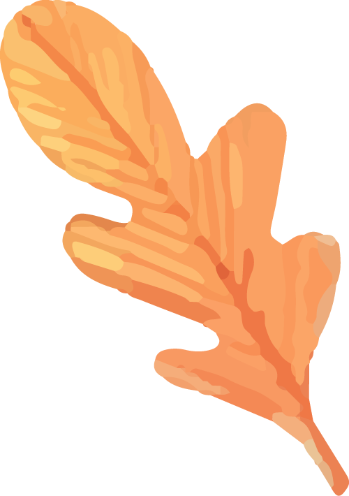 稳态与瞬态荧光光谱：材料性能分析新视角