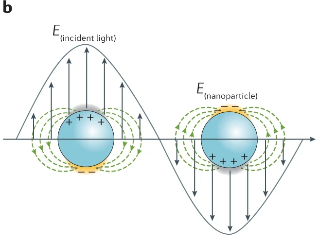 表面增强拉曼光谱（SERS）的基础理论与应用：增强机制及活性材料制备