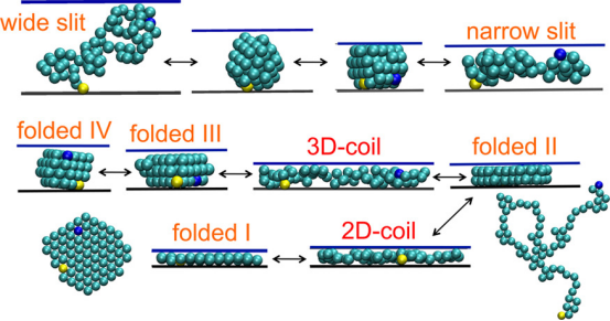 孔道限域效应：定义、核心机制及多领域应用实践