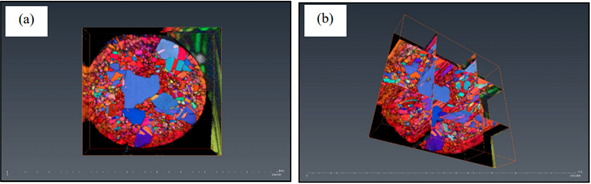 告别 “表面观察”！3D-EBSD 带您探索材料内部晶粒结构与取向演化