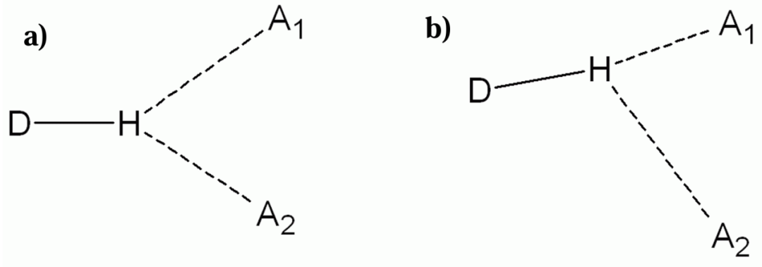 氢键如何影响化学性质？基于热力学稳定性与动力学活性的综合分析