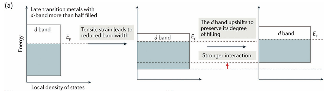 一文读懂d带中心：上移与下移的深层原因及精准调控策略