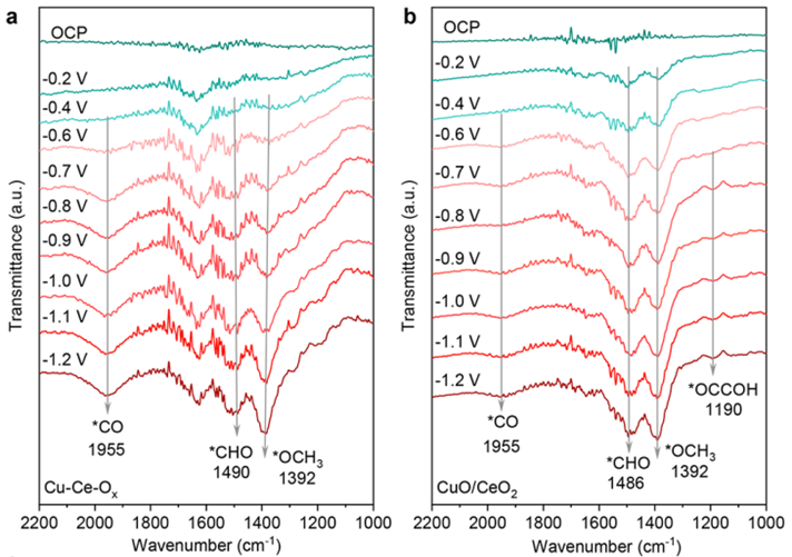 原位测试之原位红外、原位拉曼