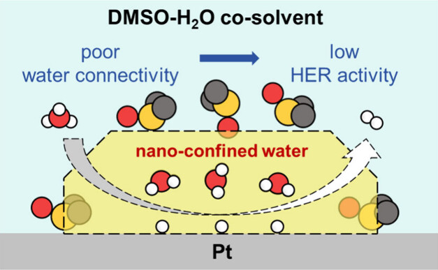 限域催化的理论与应用：系统阐述限域效应机制、典型材料与关键电催化反应