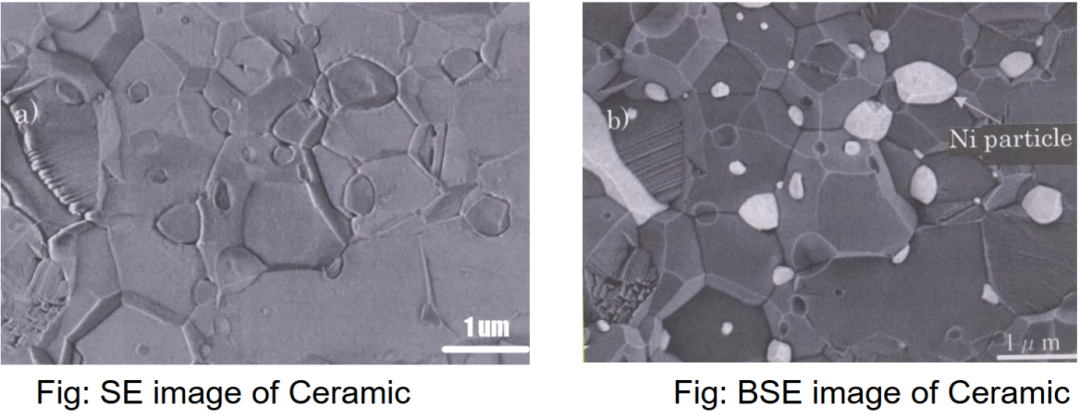 SEM 成像与成分分析全解析：二次电子 (SE)、背散射电子 (BSE) 及 EDS 技术详解