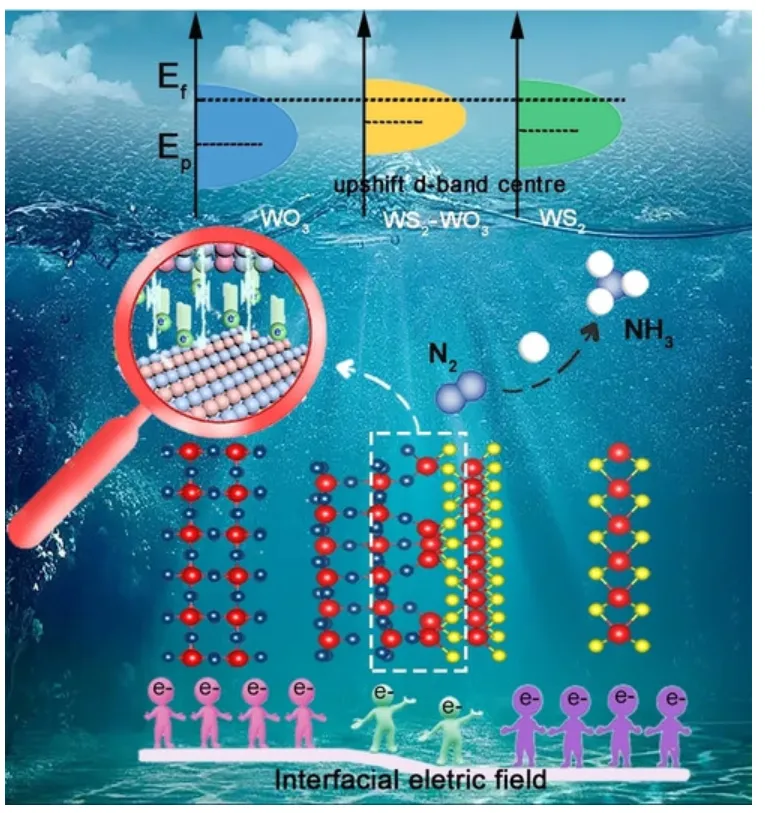 活性位点：定义、公式与表征方法全解析