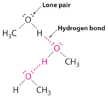 氢键如何影响化学性质？基于热力学稳定性与动力学活性的综合分析