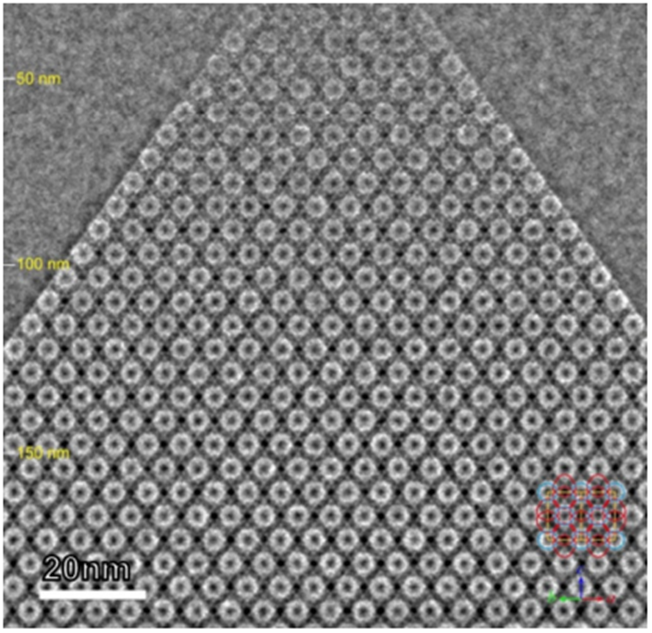 突破分辨率极限：球差电镜如何实现原子级观测？