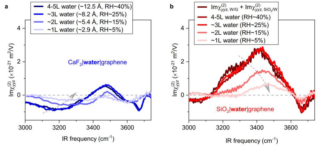 限域效应 VS 界面效应