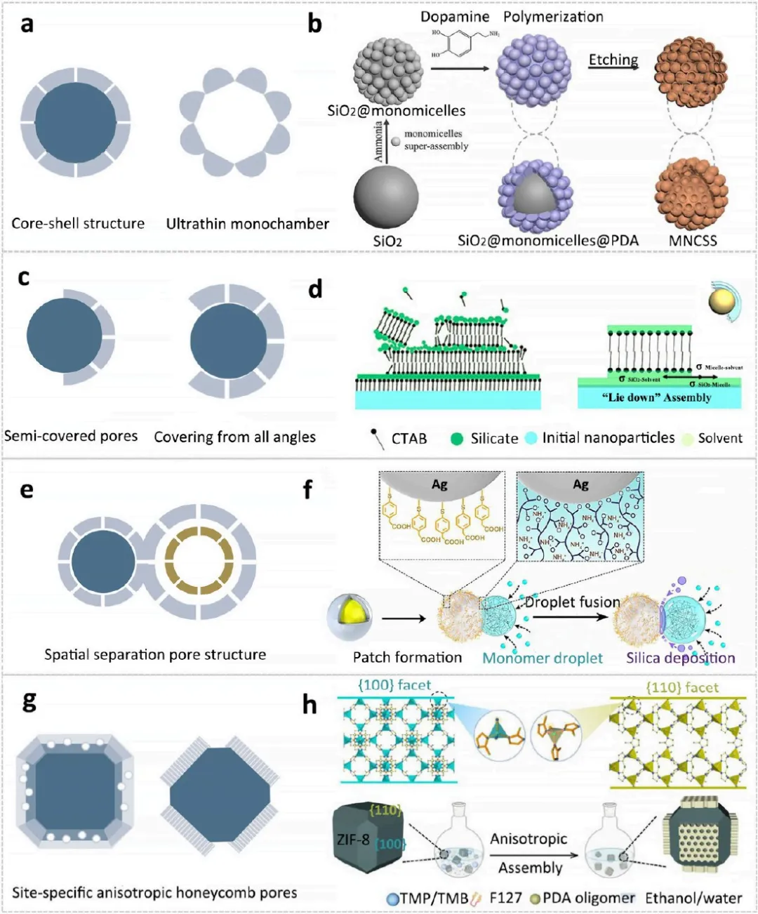 奥斯瓦尔德熟化：定义、吉布斯-汤姆逊方程与液/固/液/气四类体系的影响机制