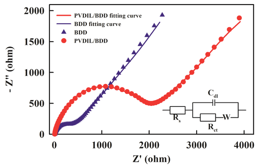 电化学阻抗谱(EIS)详解：原理、Nyquist/Bode图示与等效电路建模