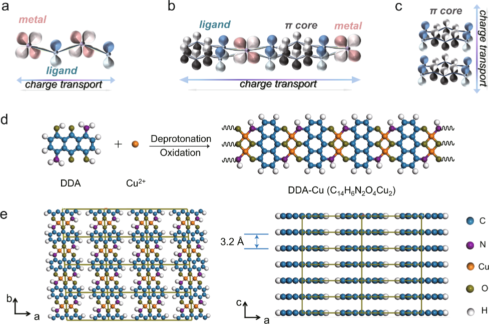 基于“新三传”视角，全面解析电子、质子与分子传递机制及其耦合效应