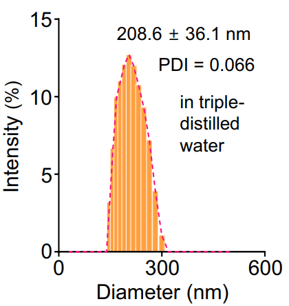 纳米颗粒：定义、团聚/分散机制及表征策略