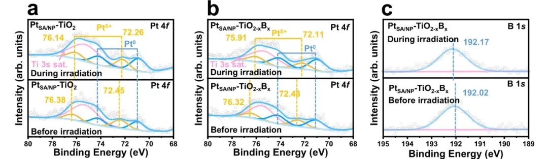 电催化材料 XPS 分析指南：从原理实操到案例误区解析